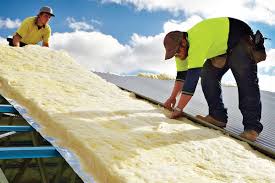 Best Basement Insulation  in Northfield, MN